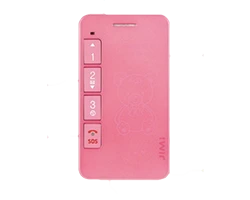 Concox GK309